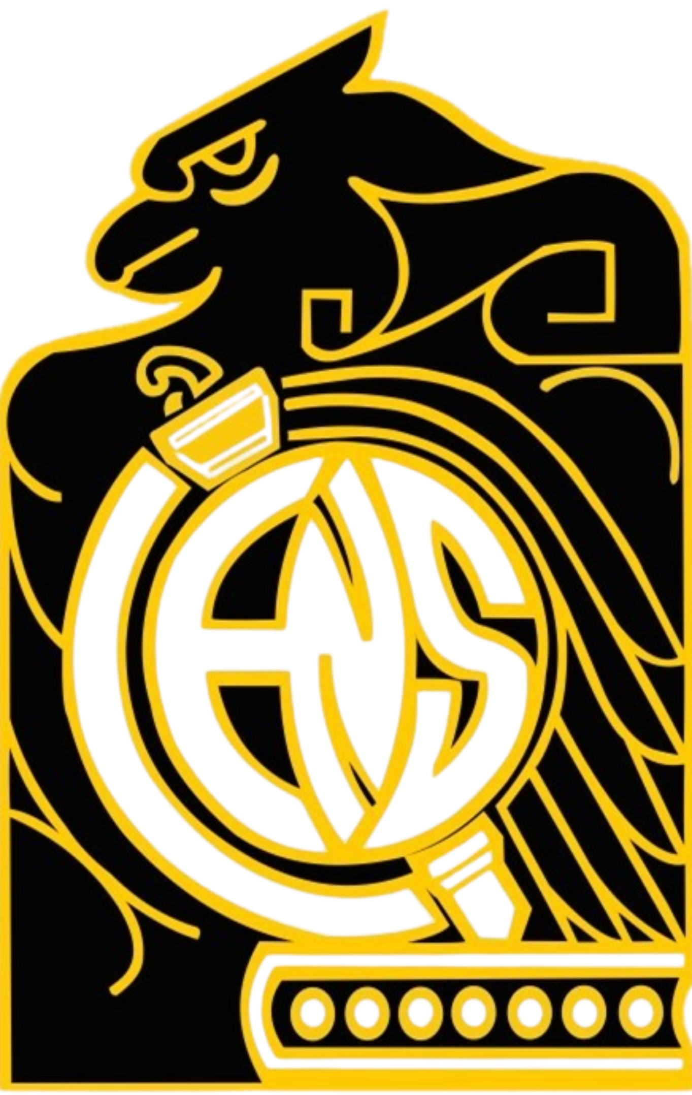 ensm negro hd